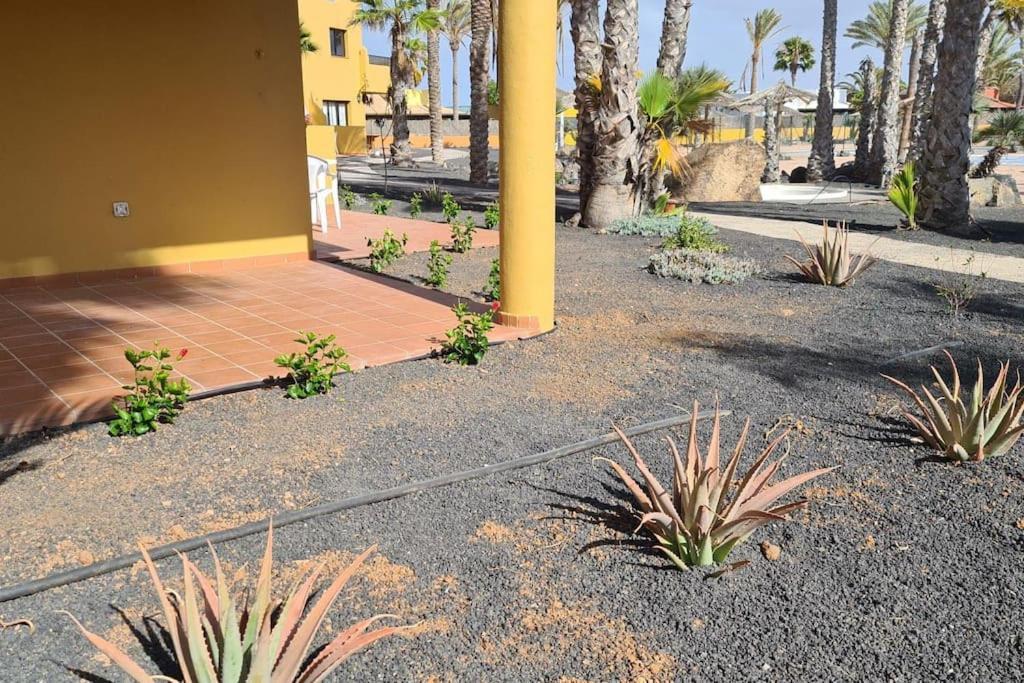Apartamento Beautiful Garden Flat Nearly Refurbished Free Wifi