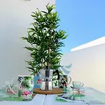 51E-Scape