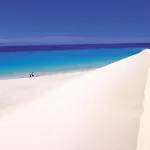 Suenos Canarios