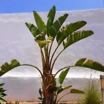Casa Vivi Fuerteventura