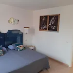 Oasis Waves House