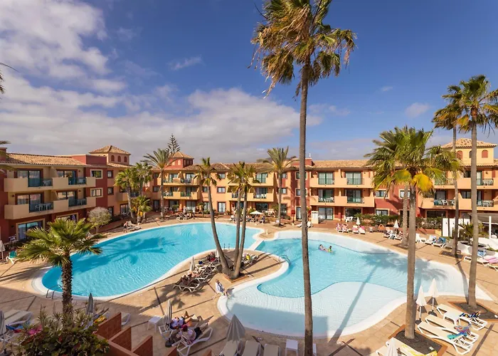 O7 Aloe Corralejo