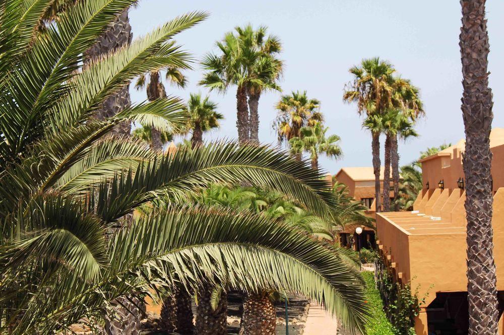 Aparthotel Oasis Dunas 3*