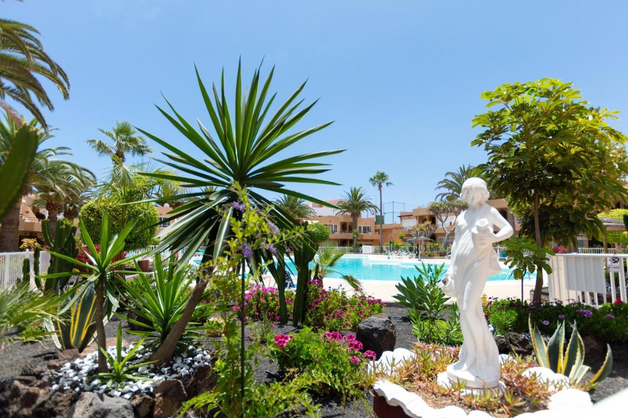 Casanikolai Apartment Corralejo