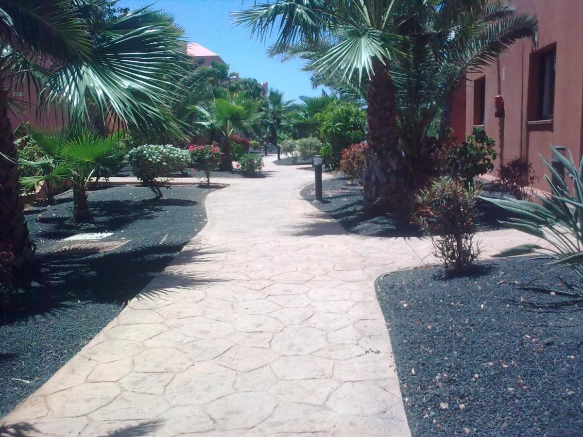 Tamarindo I Piscinas De Agua Salada * Corralejo