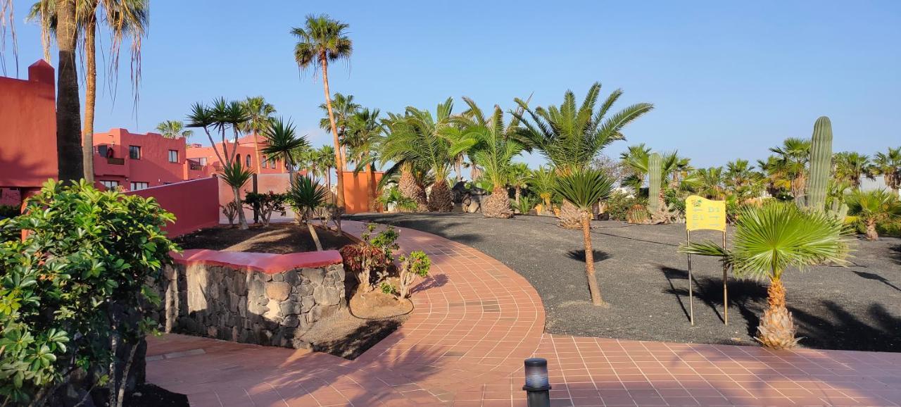 Small&sunny Wifi Premium Corralejo