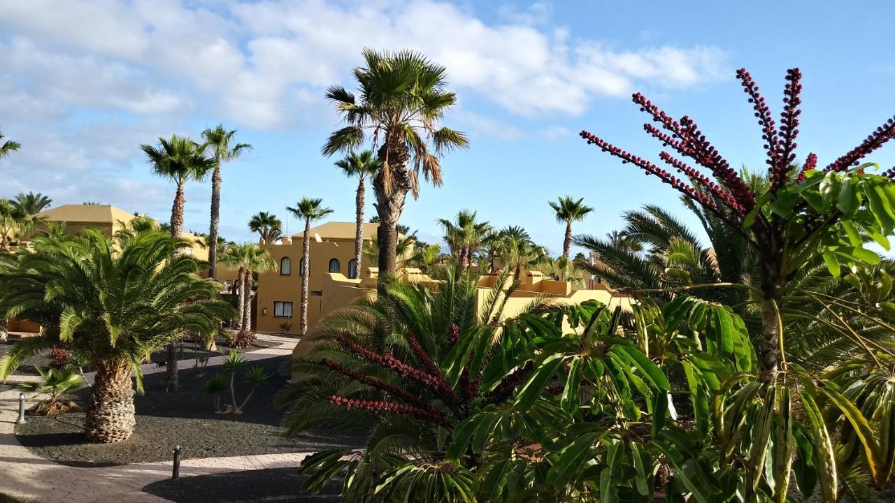 Casa Ilaria Fuerteventura -wifi Free *