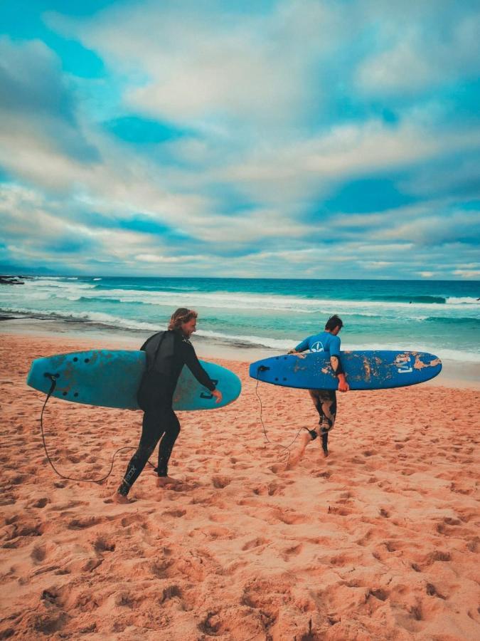 International Surf Camp Only Surf Hostel