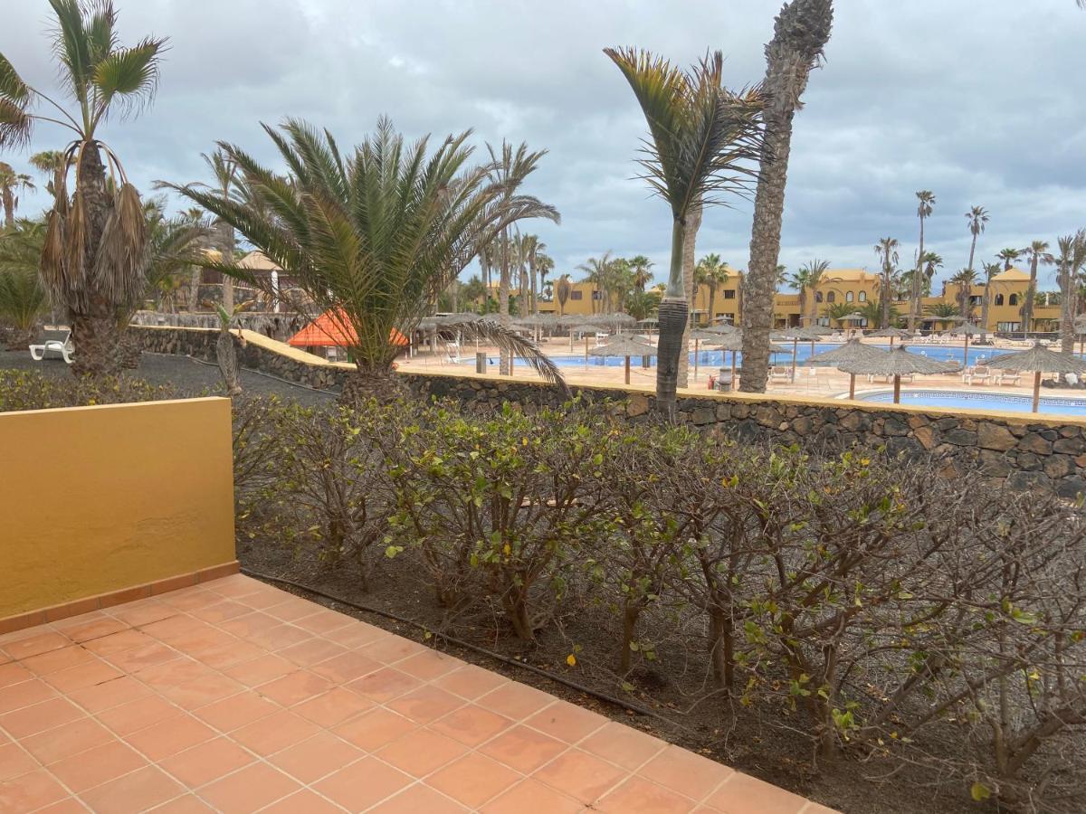 Oasis Papagayo *