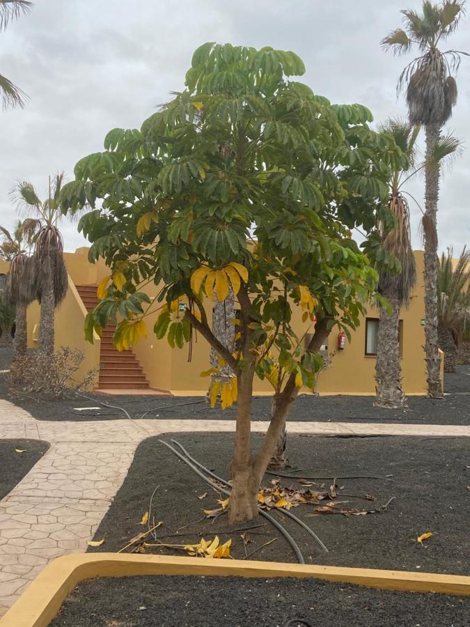 Apartamento Oasis Papagayo *