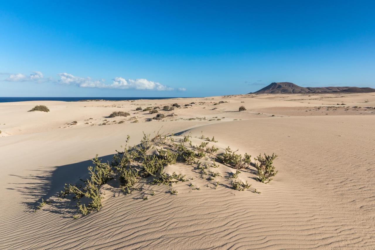 Home2book Blue Atlantic Design Apartment Corralejo