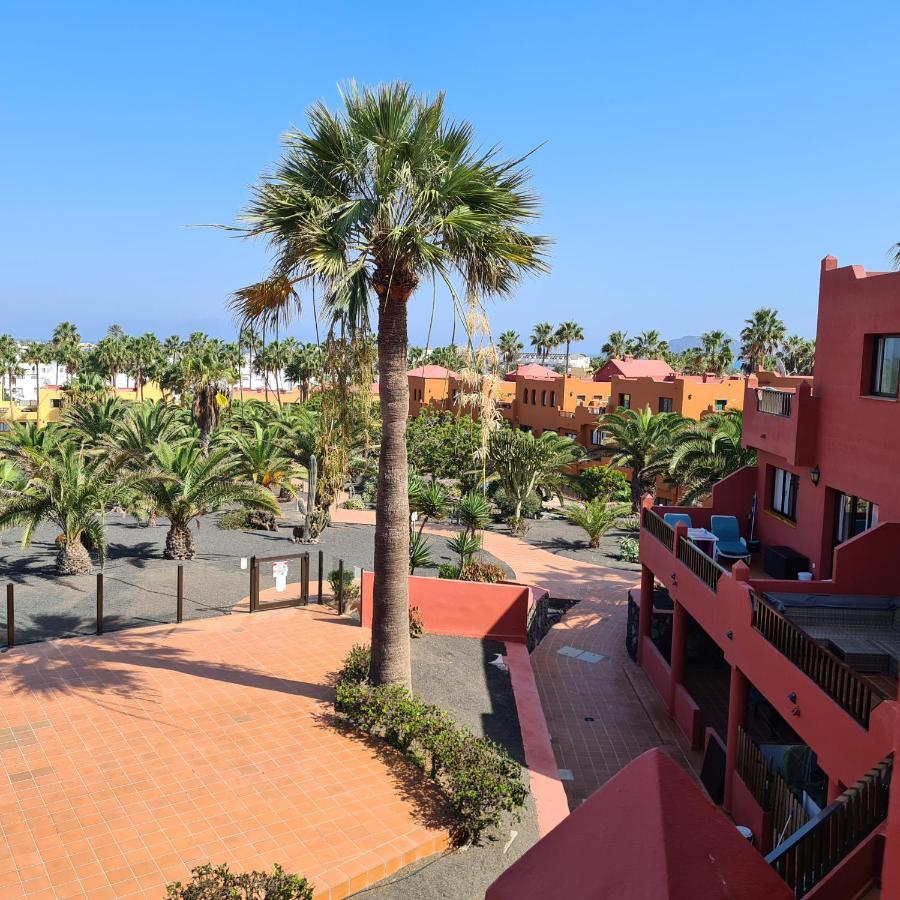 Apartment Oasis Royal D311 *