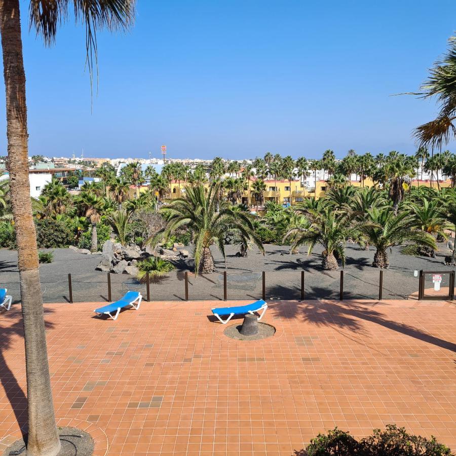 Apartment Oasis Royal D311