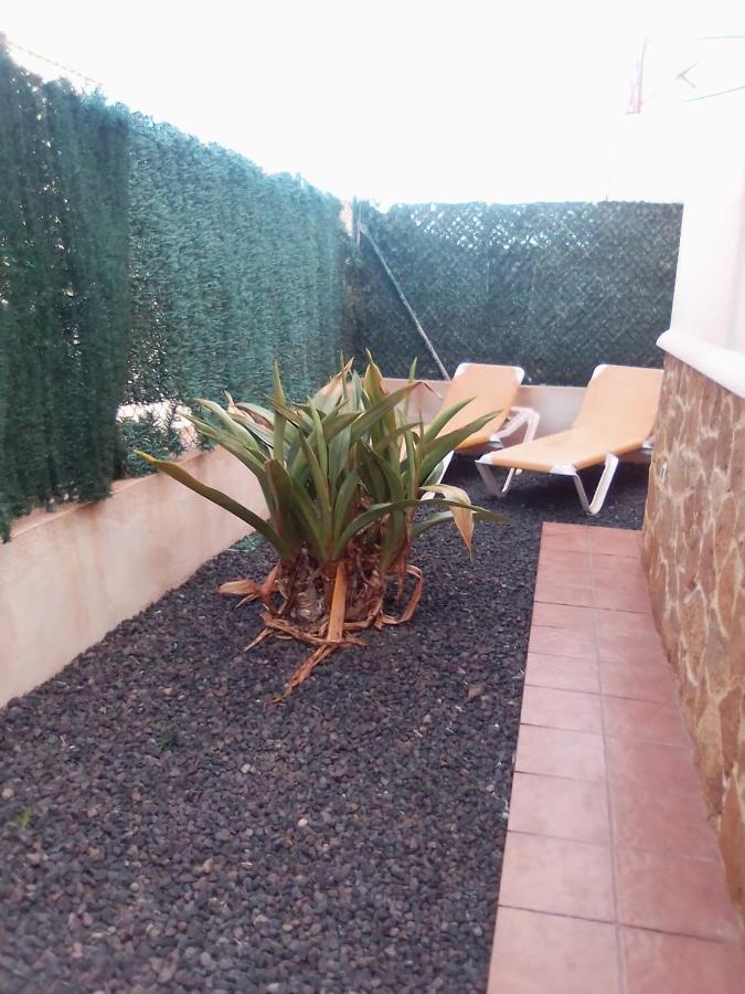Ventura Caprice Corralejo