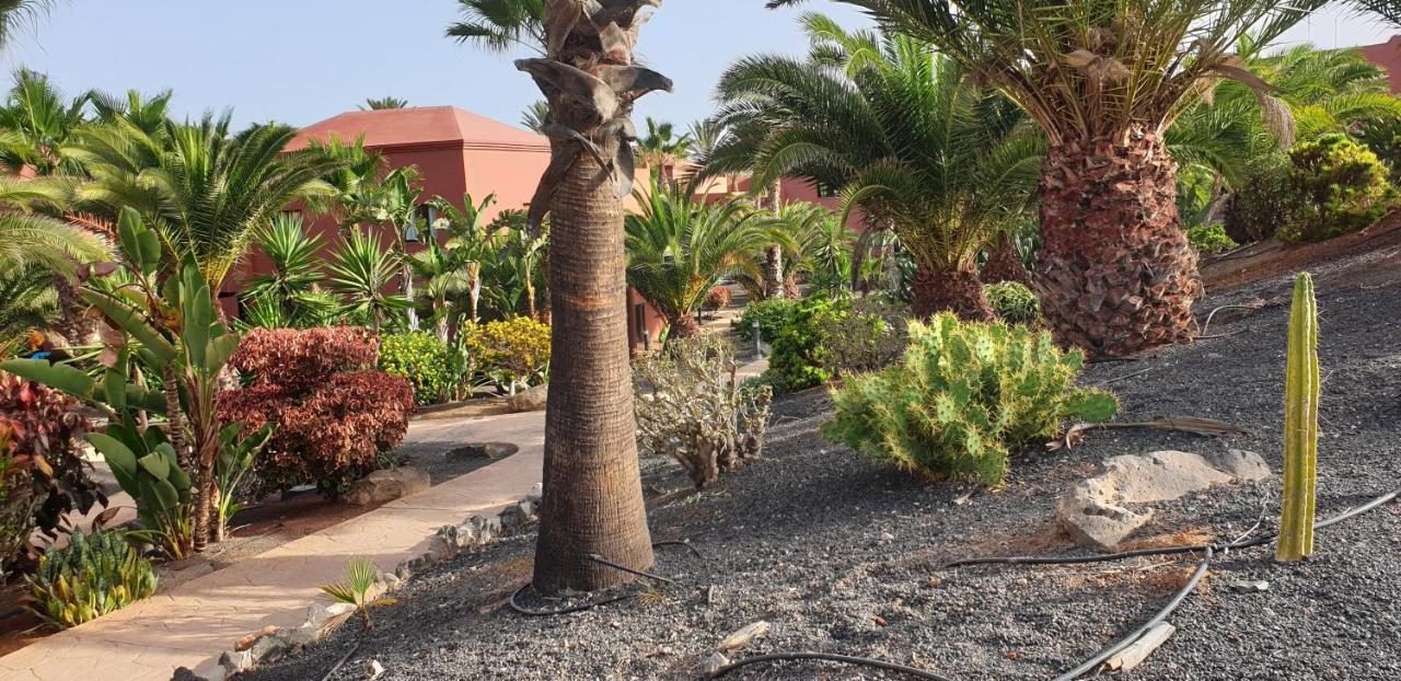 Apartment Tamarindo I Piscinas De Agua Salada Corralejo