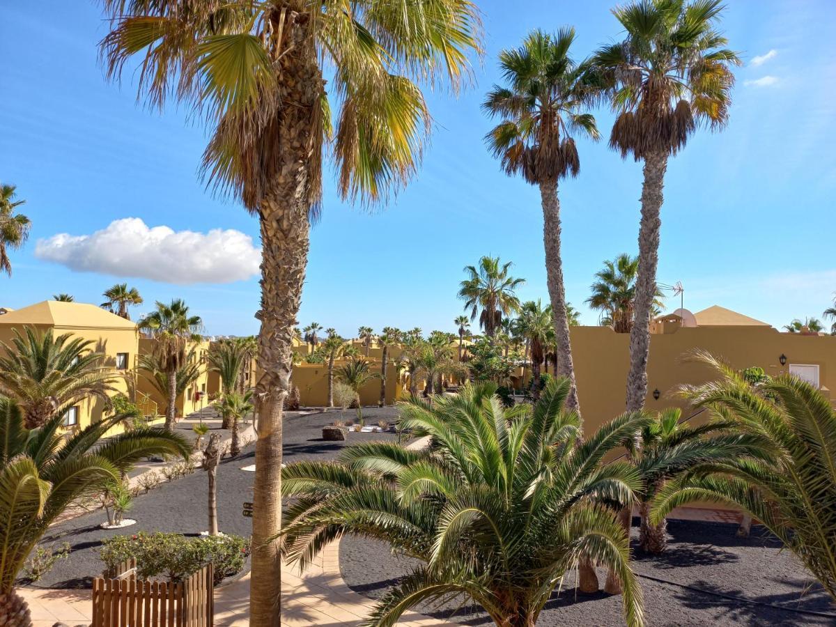 Playa Oasis * Corralejo