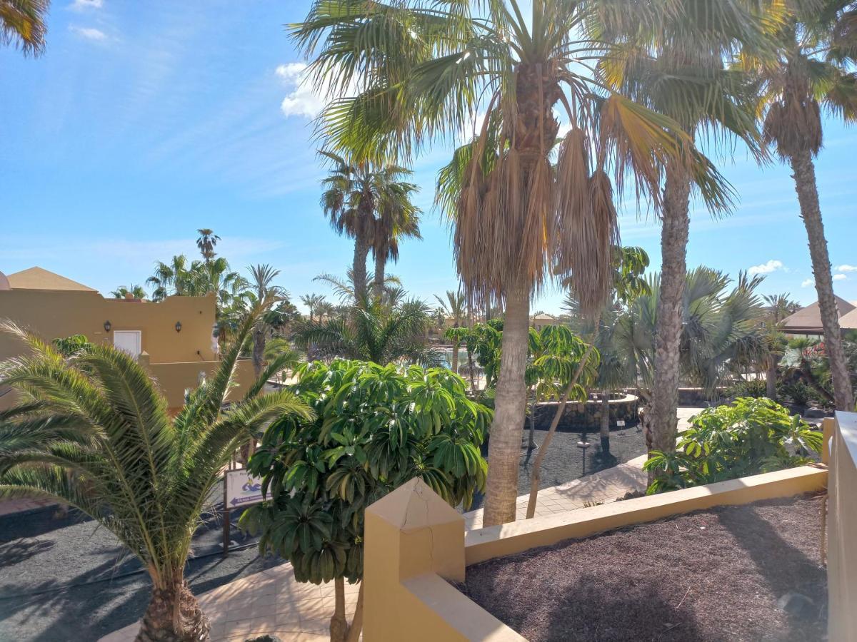 Playa Oasis Apartamento