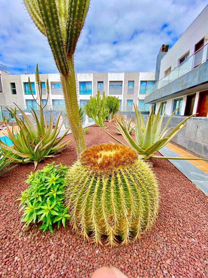 Mar De Fuerteventura 2 Apartment Corralejo