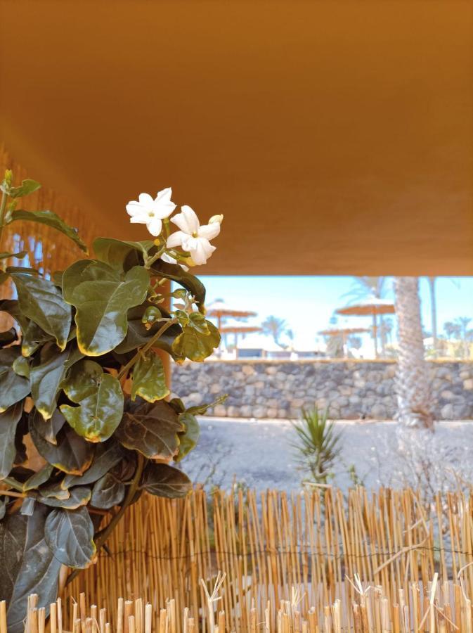 Mai Fuerteventura *