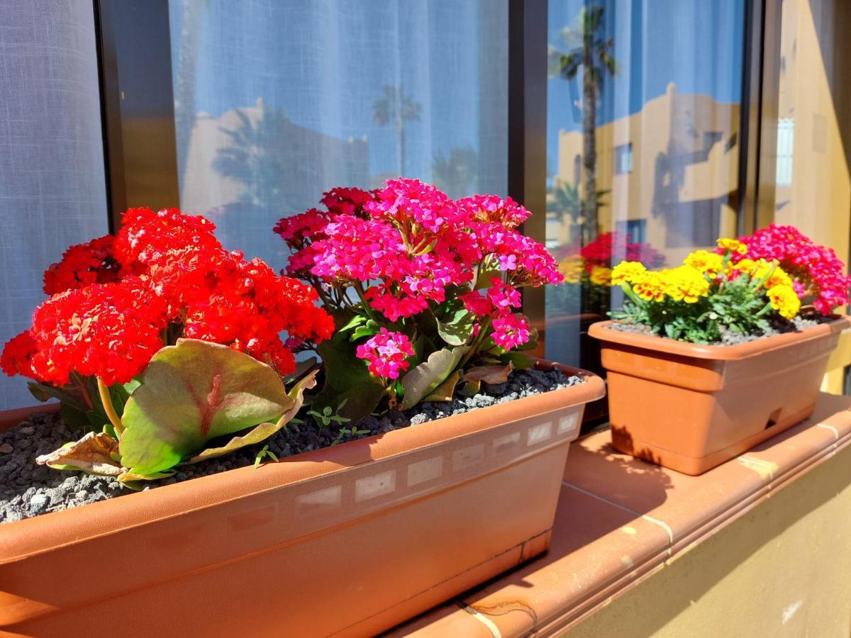 Apartamento Casa Ledù - Sunny In Fuerteventura