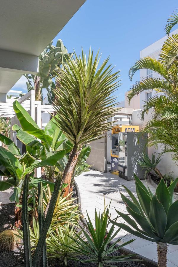 Gaviota Holidayfv Apartment *