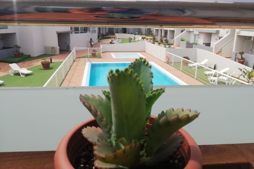 Blue Ocean Corralejo: Sunny Terrace, Pool, Wifi Apartment