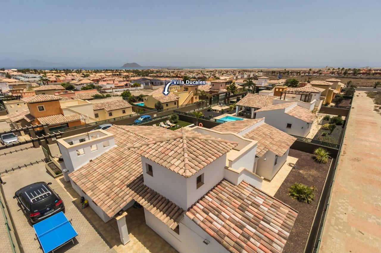 Sherry Ii By Villa Corralejo