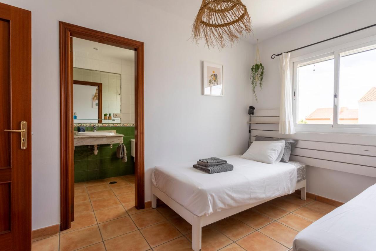 Casiopea Corralejo