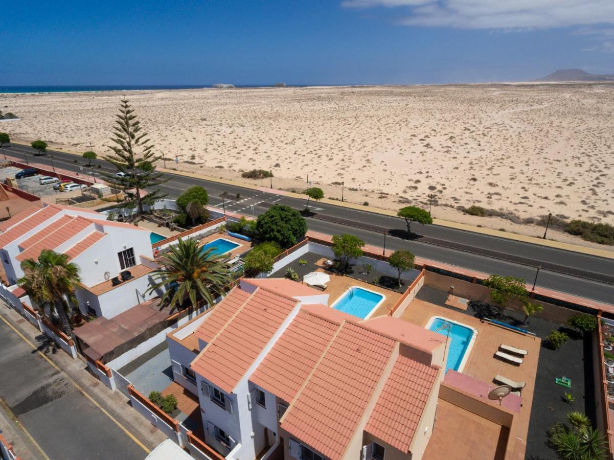 Casiopea Corralejo