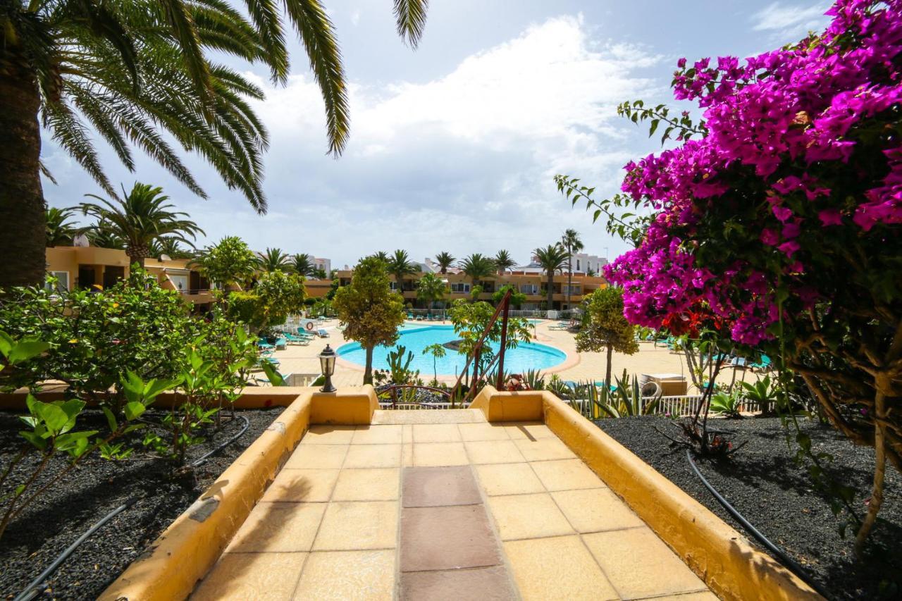 Apple Dunes With Pool By Holidays Apartment Corralejo