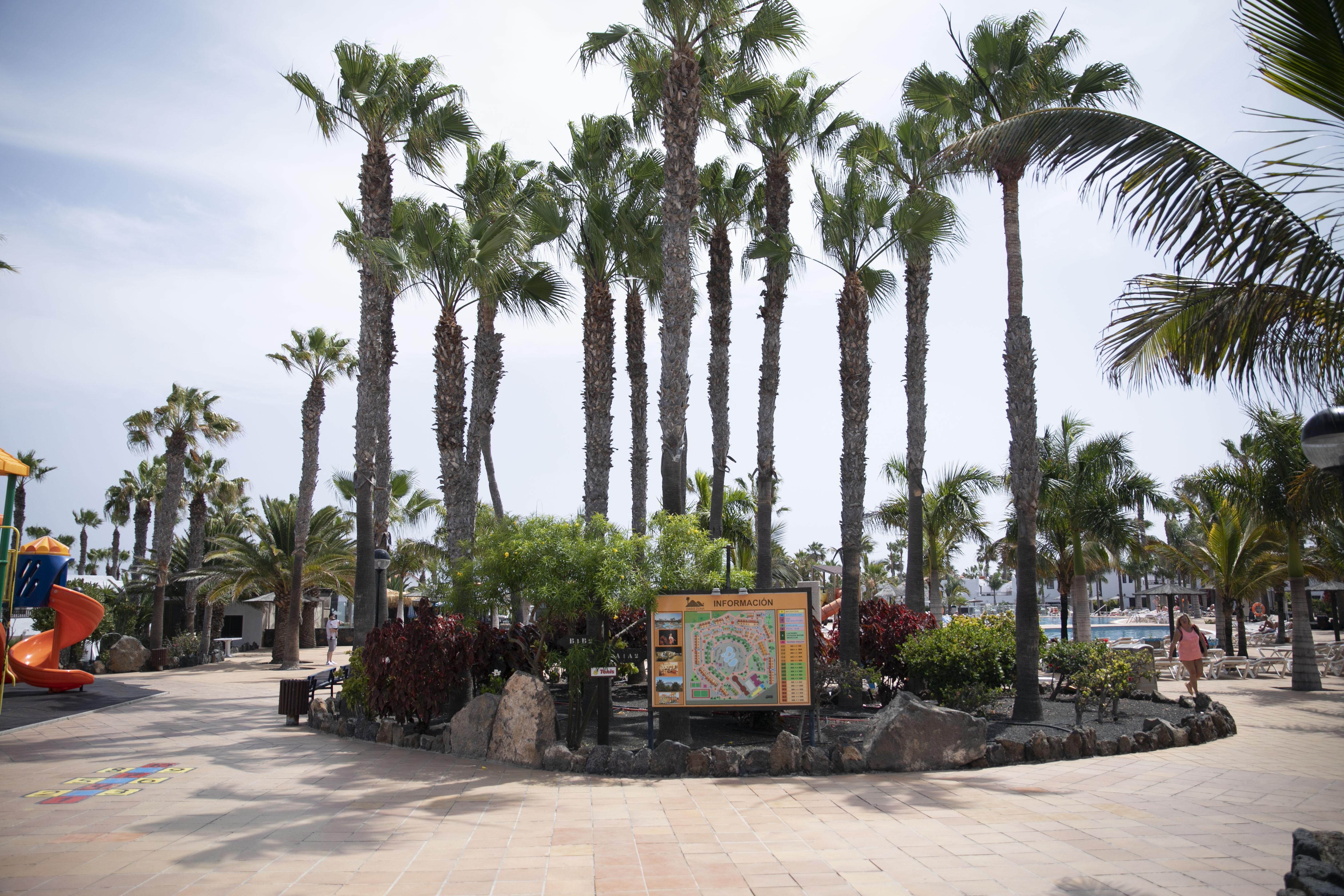 Oasis Dunas Corralejo