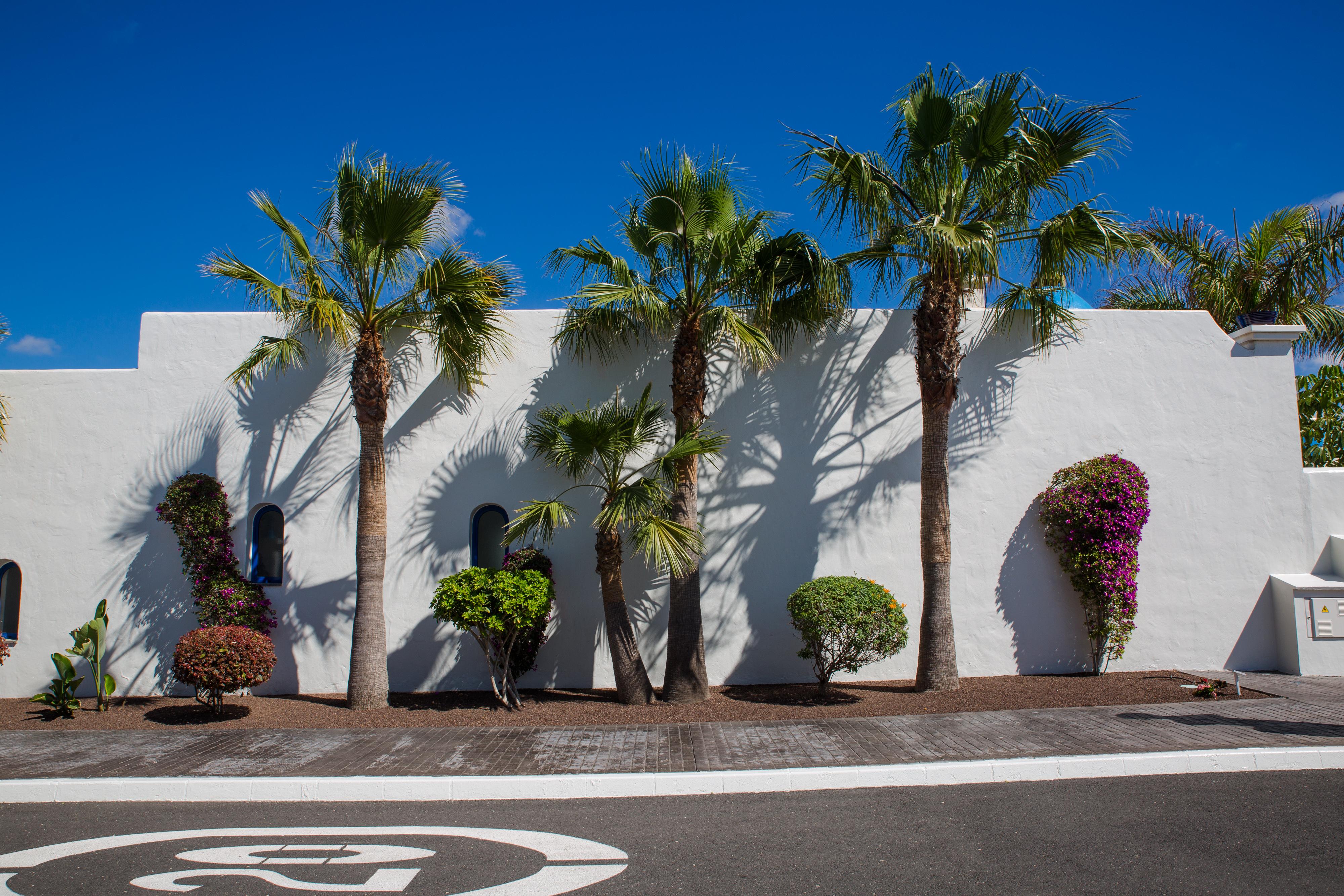 Bahiazul Fuerteventura Hotel 4*
