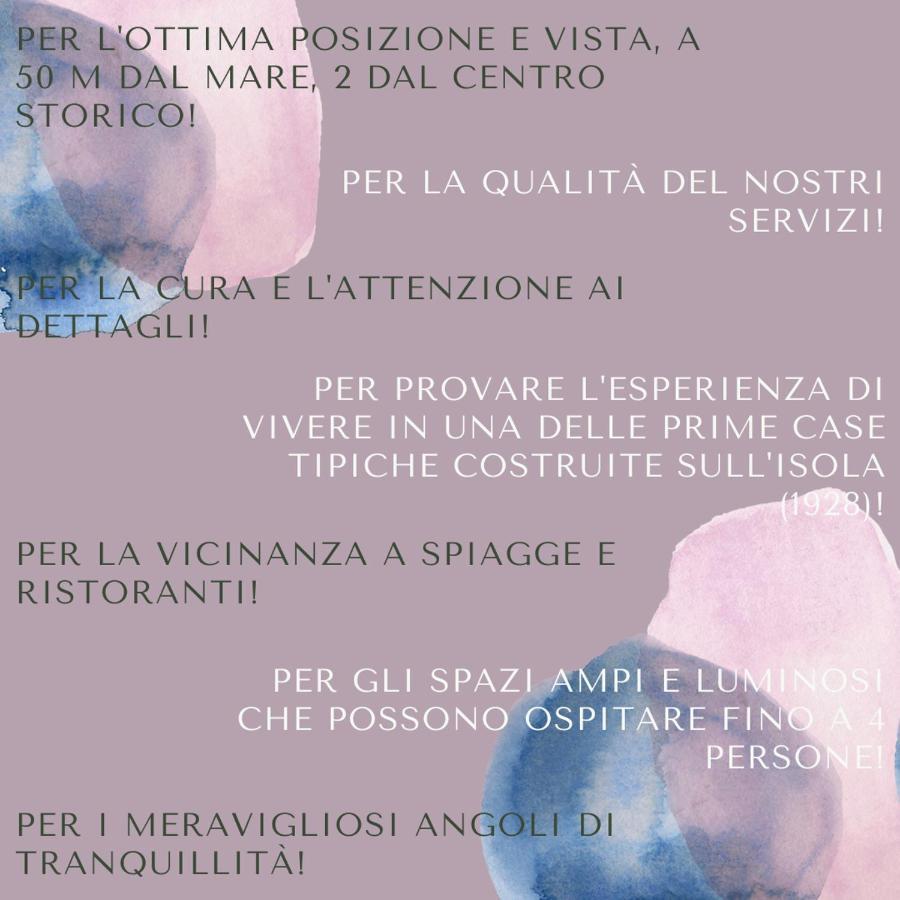 Salgemma