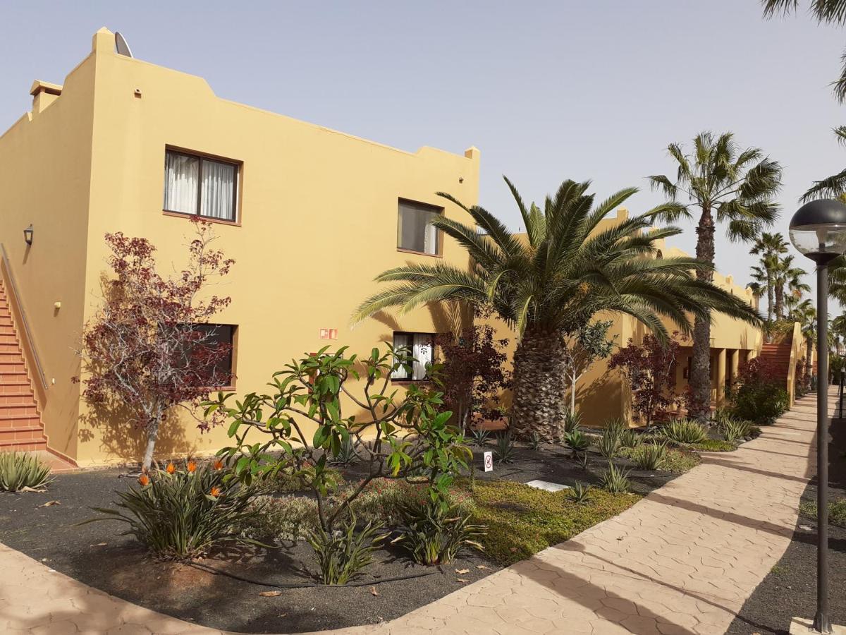 Oasis Waves House Papagayo