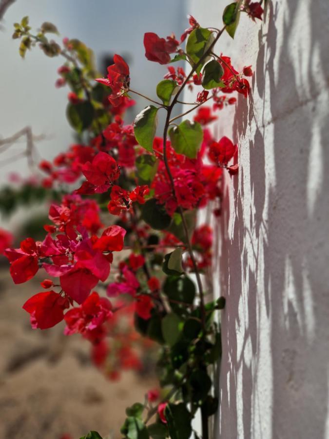 Casa Vivi Fuerteventura *