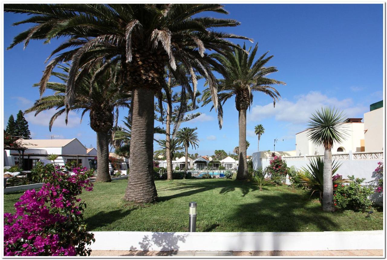 Estrella Del Mar 8. 1 Bedroom With Pool And Gardens 300 Metres From The * Corralejo