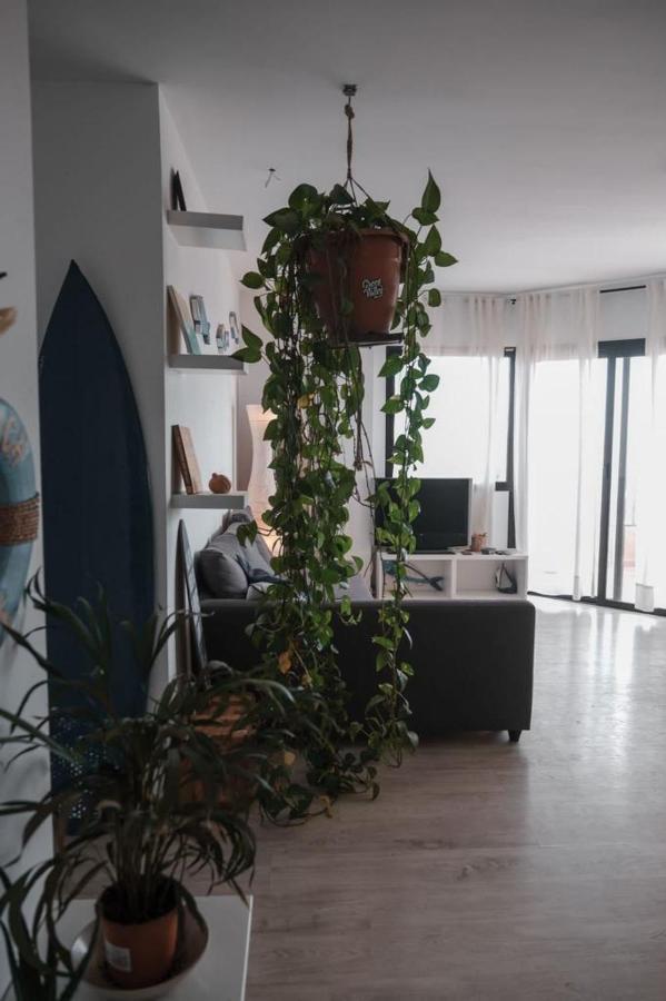 Topkapi Apartamento Corralejo