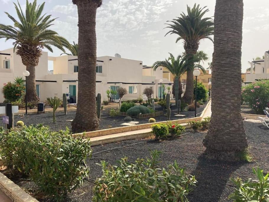 Pool & Gardens - Alisios Playa * Corralejo