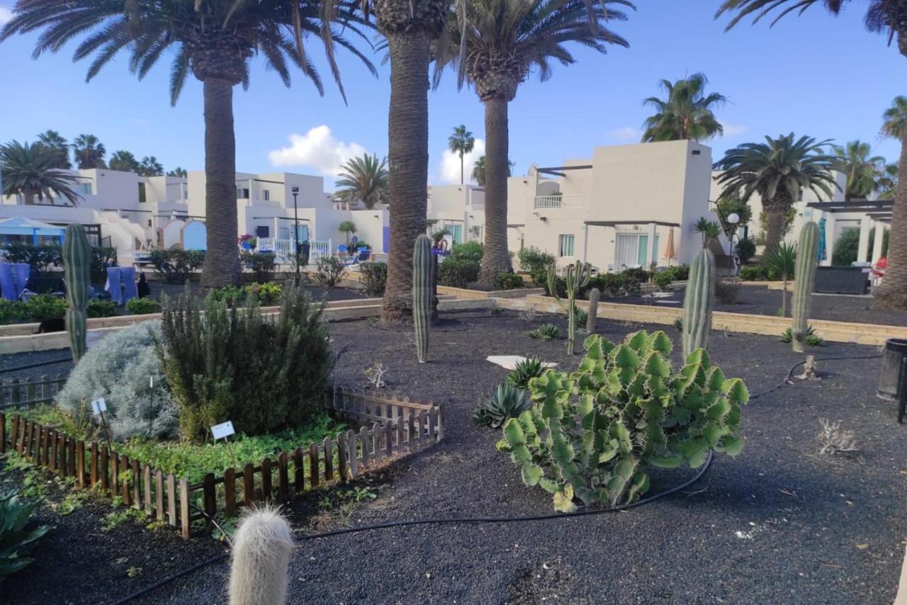 Home2book Comfy Ohana Garden Corralejo, Pool