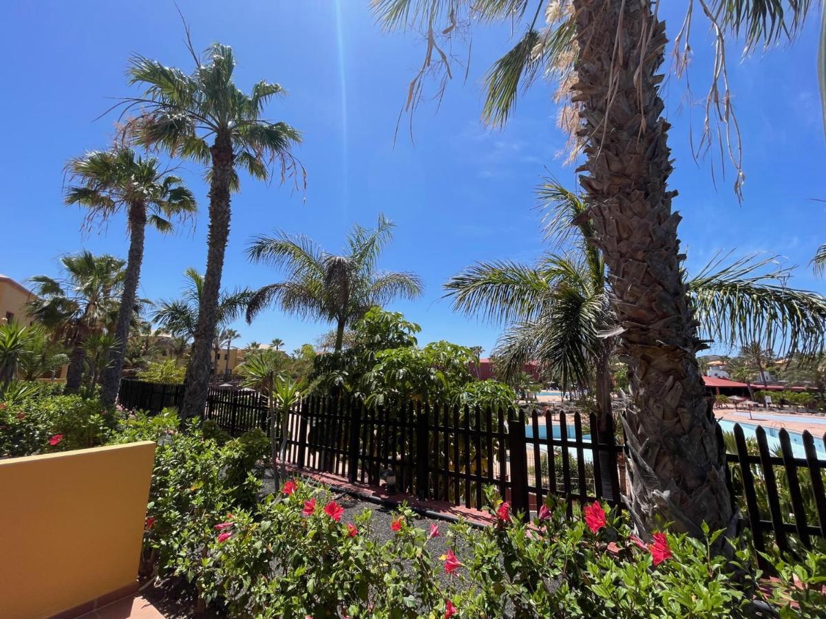 Tropical Garden Retreat: Private Terrace & Pool Oasis * Corralejo