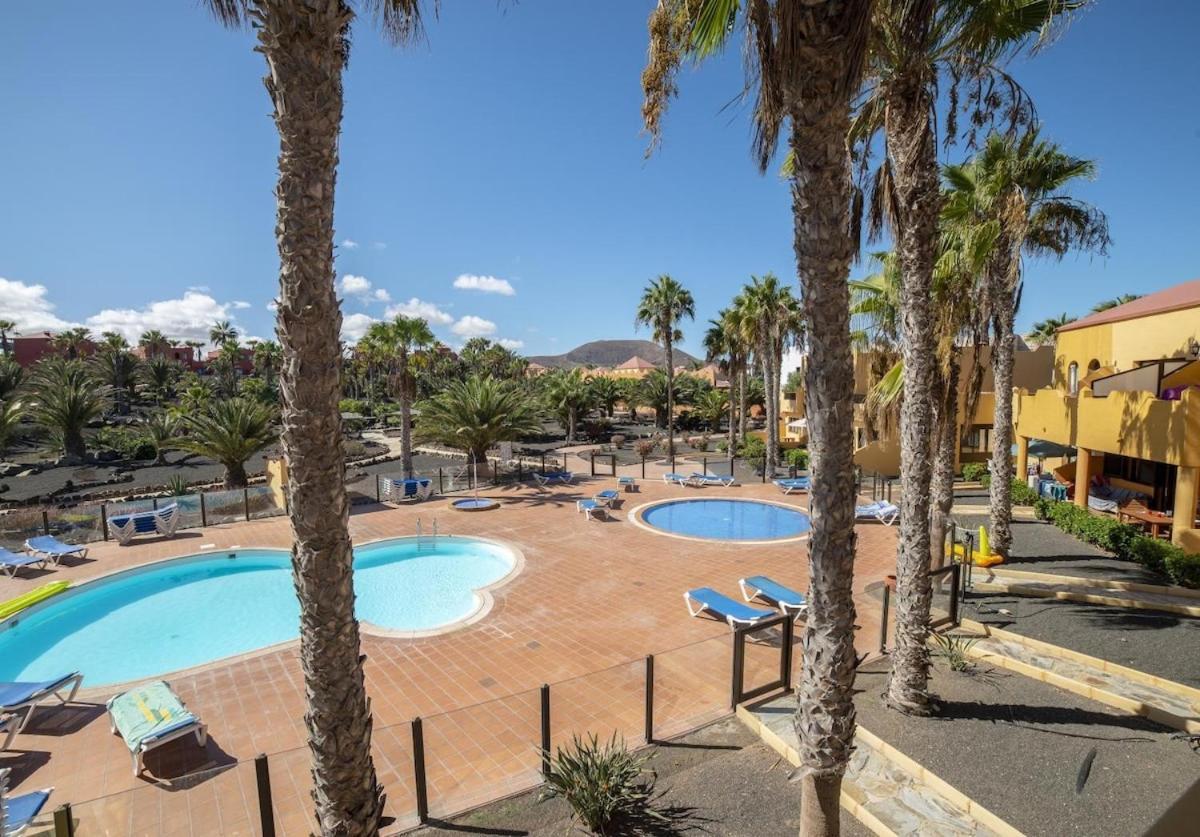 Oasis Royal F312 Apartamento *