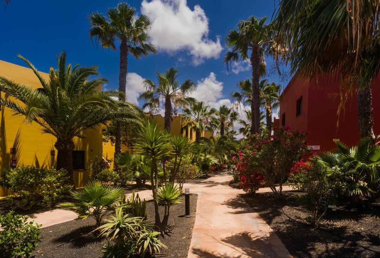 Oasis Vistamar Apartment