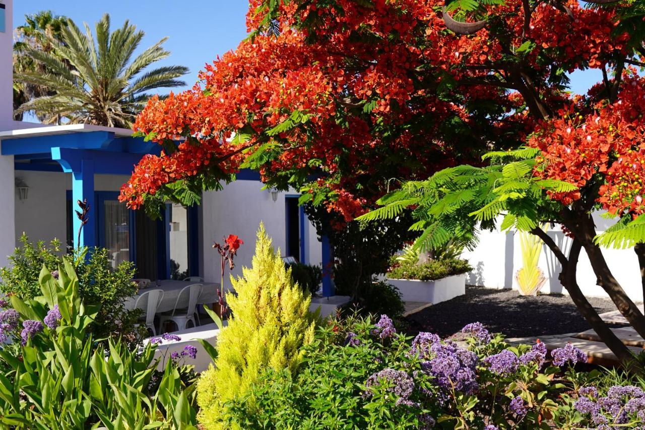 Villa Timfay *