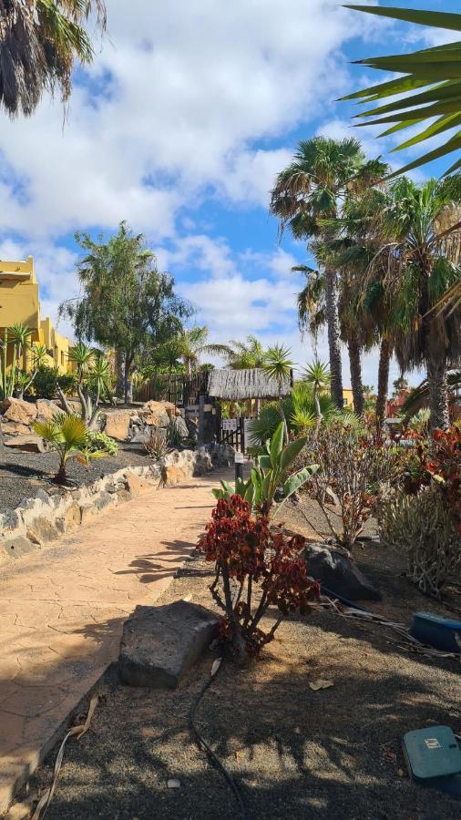 Apartment Casa Esperanza Dunas - Amazing With Stunning View *