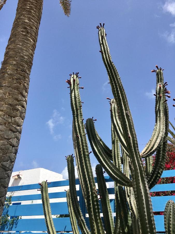 Casa Cactus Corralejo
