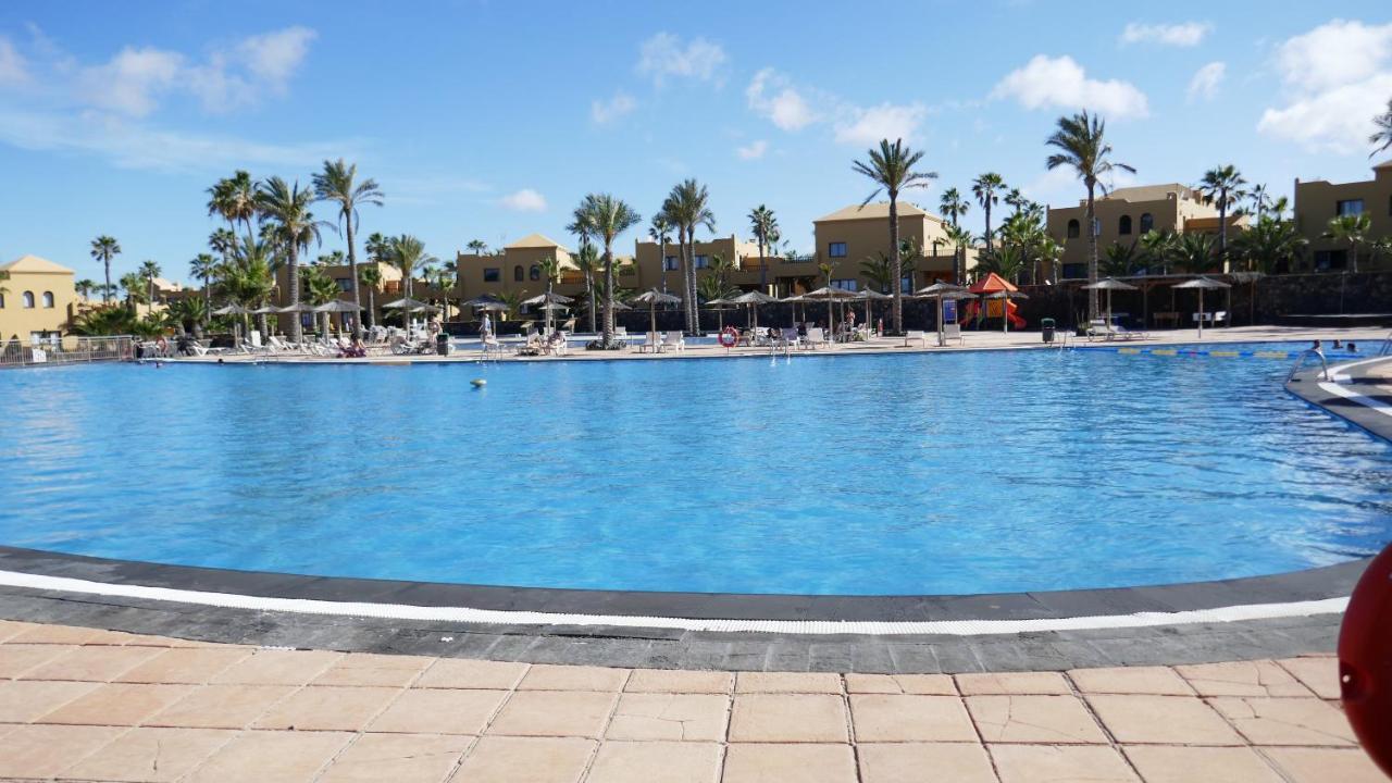 Vista Palmera *