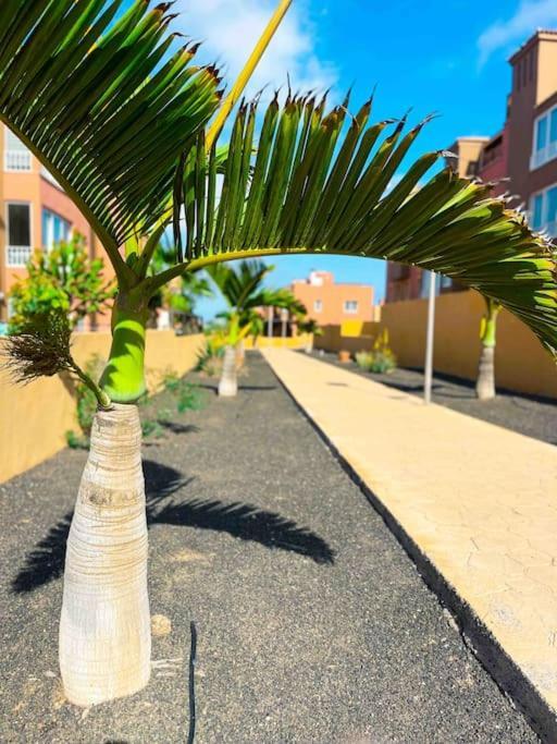 Apartment Casa Bamboo Corralejo, Espacioso, Piscina Y Parking *