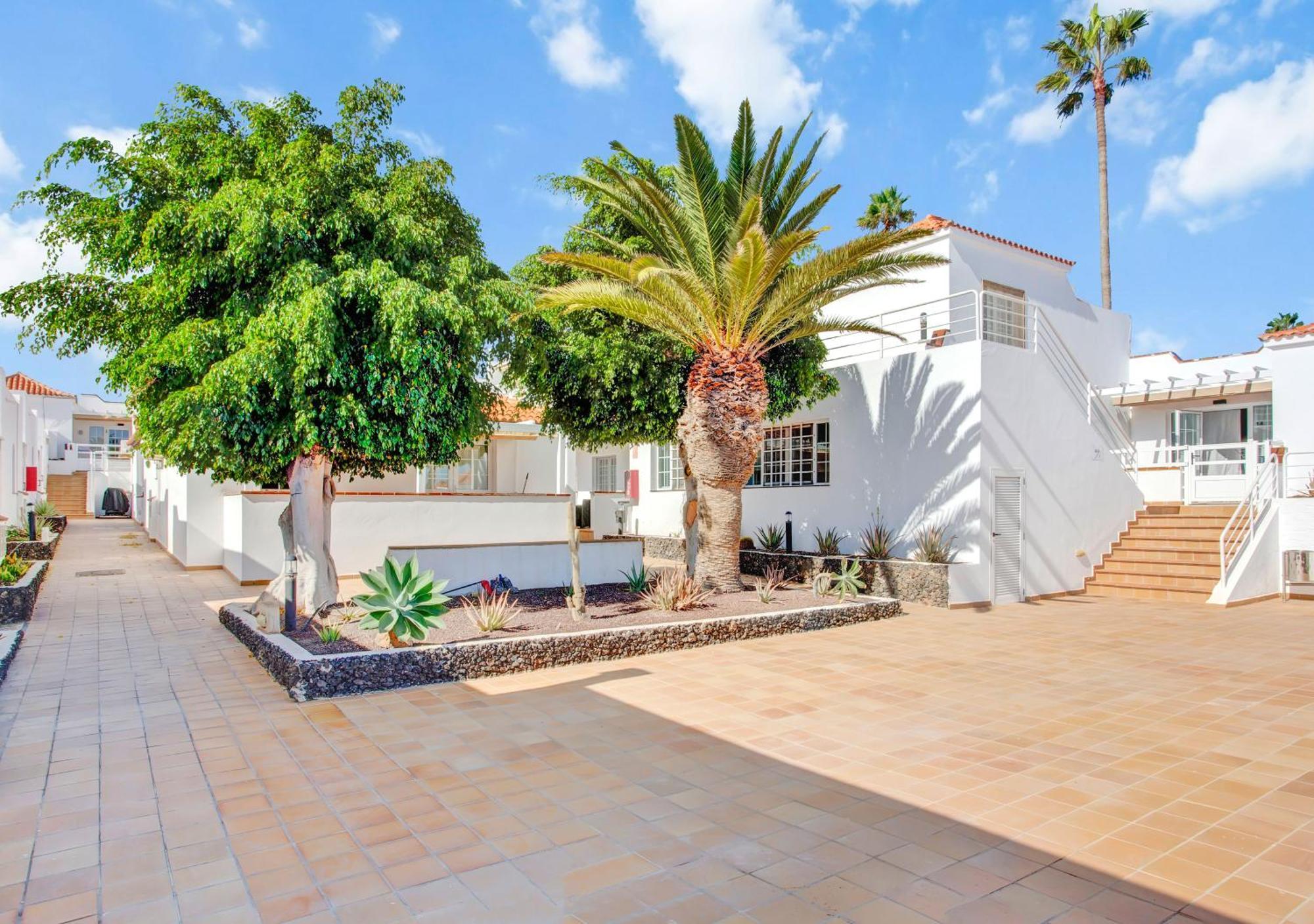Silvic Serenada * Corralejo