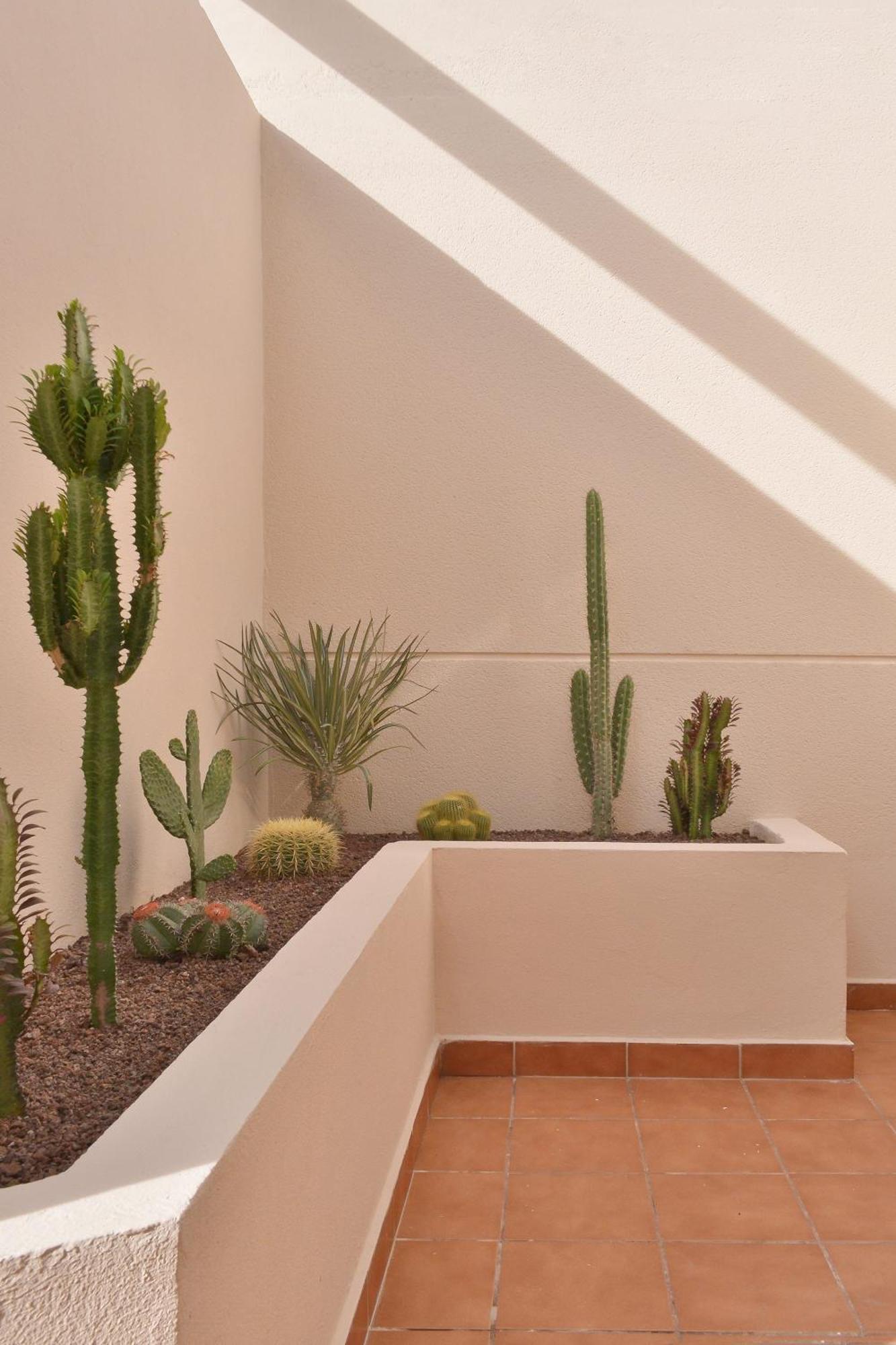 Villa Casa Mareterra - Design With Pool And Terrace Near And Lajares