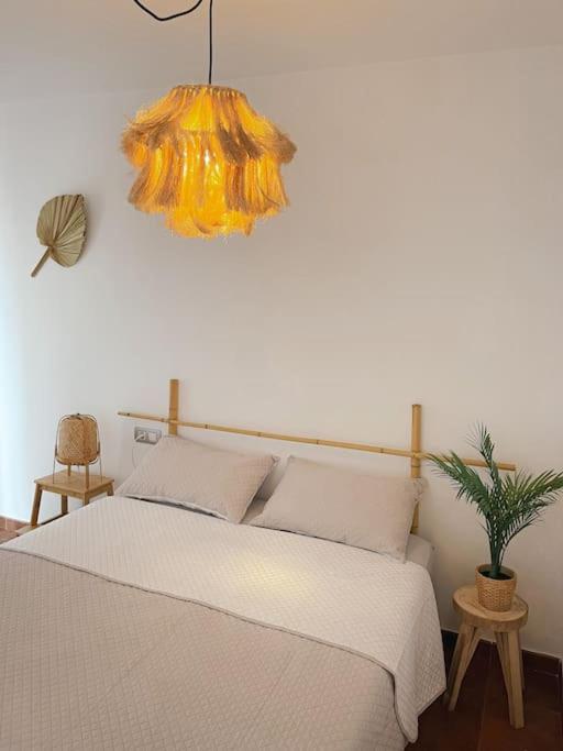 Casa Bamboo Corralejo, Espacioso, Piscina Y Parking Apartment *